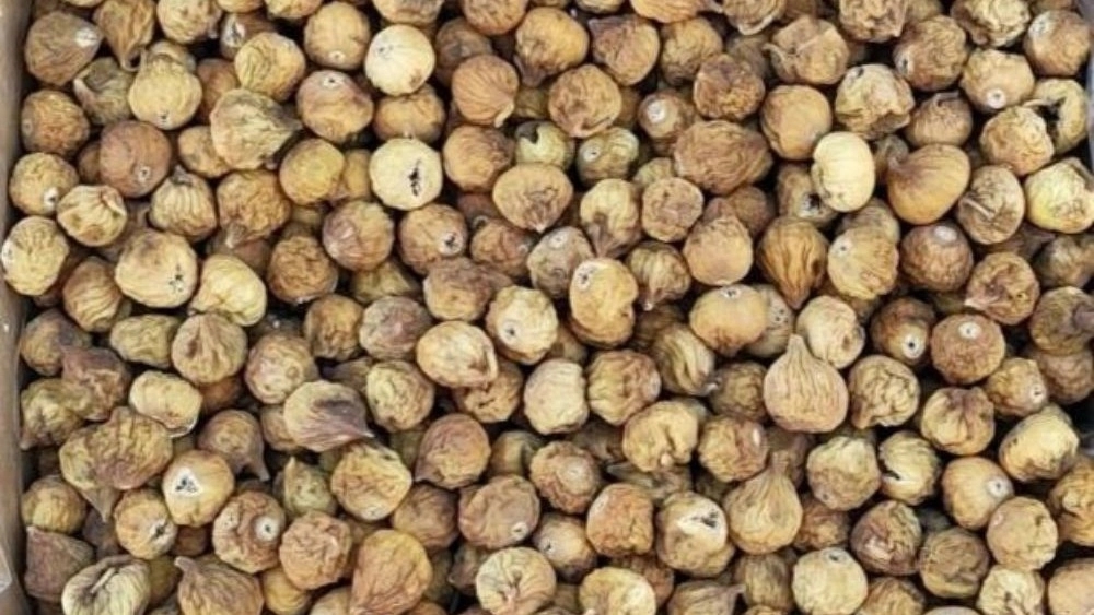 صادرات انجیر خشک ارگانیک و درجه یک صادرات انجیر خشک ارگانیک و درجه یک