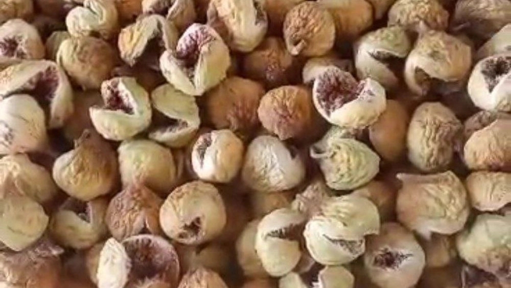 خرید و فروش عمده انجیر خشک