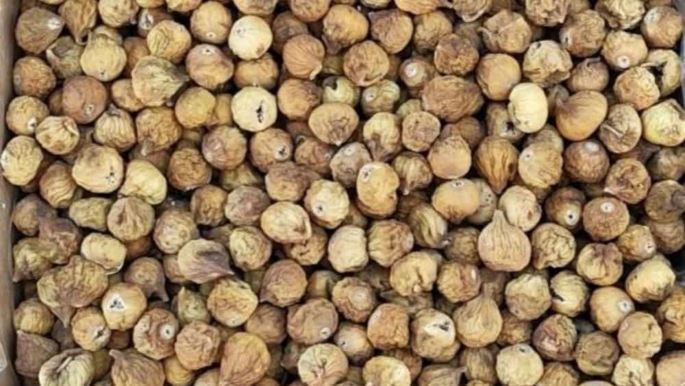 صادرات انجیر خشک ارگانیک و درجه یک